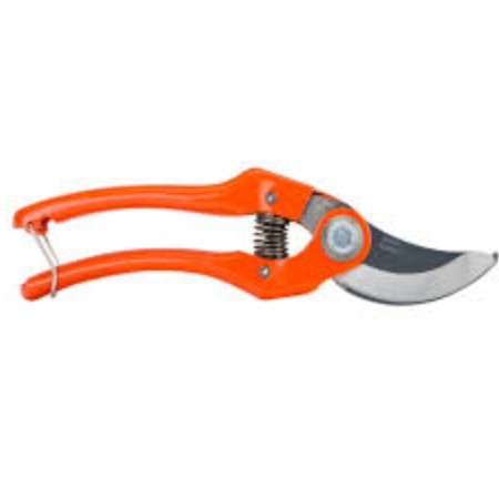 Secateur de Jardin Bahco a Capbreton